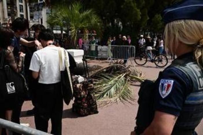 Cannes, palma travolge spettatore del festival sulla Croisette: l'uomo è in gravi condizioni