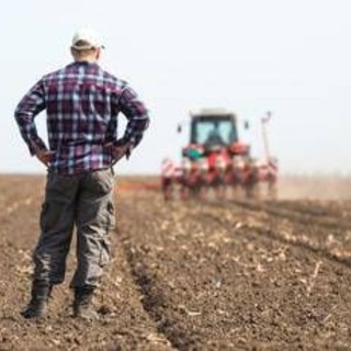 Gli offrono 700mila euro, ma un agricoltore rifiuta e non vende il suo terreno Gli offrono 700mila euro, ma un agricoltore rifiuta e non vende il suo terreno