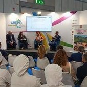 A Tutto Food 2026 il vitello tra gusto, nutrizione e sostenibilità