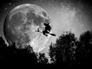 Sabato una notte magica nei boschi di Dusino San Michele
