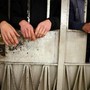 Caldo, Magi (Sumai): "Detenuti tra categorie più a rischio, rafforzare sanità nelle carceri"