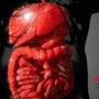 Malattie infiammatorie intestinali, rimborsabile guselkumab per colite ulcerosa e Crohn Malattie infiammatorie intestinali, rimborsabile guselkumab per colite ulcerosa e Crohn