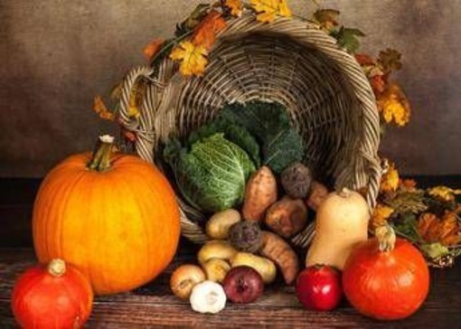 Ora solare, dalla zucca ai broccoli fino al melograno: i cibi autunnali per ritrovare l’equilibrio Ora solare, dalla zucca ai broccoli fino al melograno: i cibi autunnali per ritrovare l’equilibrio
