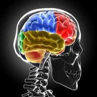 Sistema di 'lavaggio' in tilt, ecco cosa succede al cervello senza sonno Sistema di 'lavaggio' in tilt, ecco cosa succede al cervello senza sonno