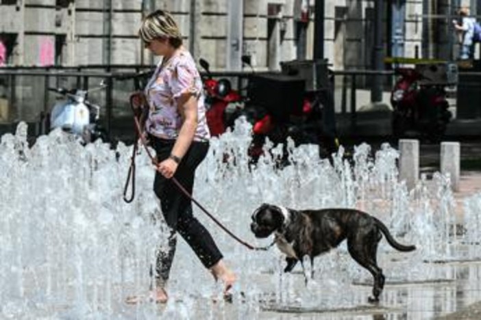 Nuova ondata di caldo sull'Italia, picchi fino a 40°C: le previsioni meteo Nuova ondata di caldo sull'Italia, picchi fino a 40°C: le previsioni meteo