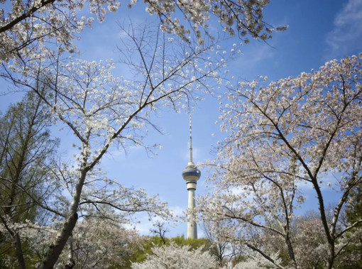 Pechino, quasi eliminate le giornate con livello “grave” di inquinamento