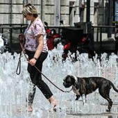Italia rovente, picchi fino ai 40°: da lunedì nuova fiammata sahariana Italia rovente, picchi fino ai 40°: da lunedì nuova fiammata sahariana