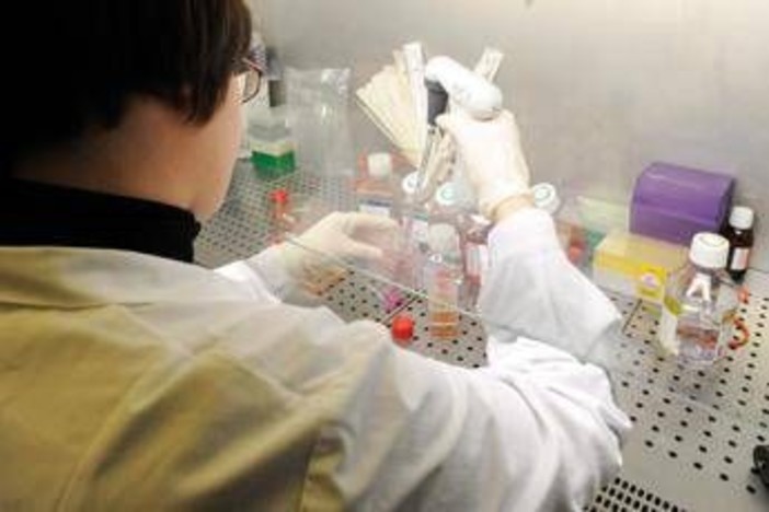 Esofagite eosinofila, risultati positivi per tezepelumab in fase 3 Esofagite eosinofila, risultati positivi per tezepelumab in fase 3