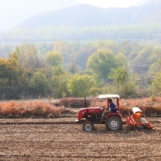 Cina, produzione di cereali in crescita anche nel 2026 secondo le previsioni