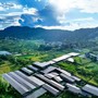 La Cina promuove lo sviluppo di reti elettriche di nuova generazione