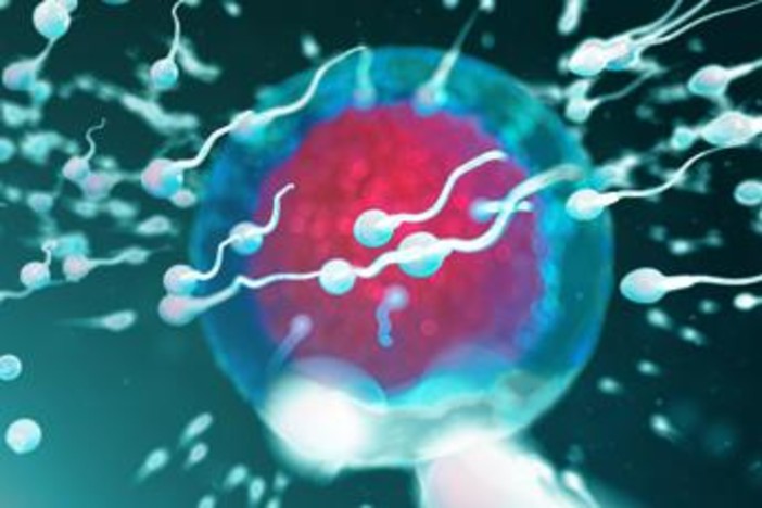 Fertilità, dove vive lui conta: regione di residenza e smog incidono su qualità sperma