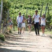 Turismo, UniCredit-Nomisma Wine Monitor: da quello del vino 3 miliardi di valore per cantine Turismo, UniCredit-Nomisma Wine Monitor: da quello del vino 3 miliardi di valore per cantine