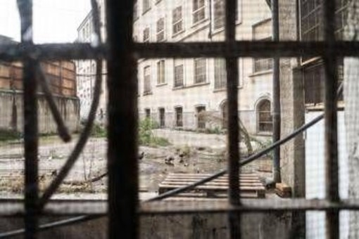 Studente accoltellato a Milano, i due aggressori maggiorenni: "Molto dispiaciuti per la vittima" Studente accoltellato a Milano, i due aggressori maggiorenni: "Molto dispiaciuti per la vittima"