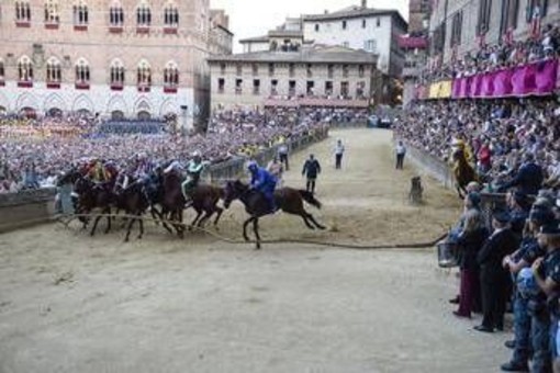 Palio di Siena, Tittia fa 13: ecco chi è il fantino che ha fatto trionfare il Nicchio Palio di Siena, Tittia fa 13: ecco chi è il fantino che ha fatto trionfare il Nicchio