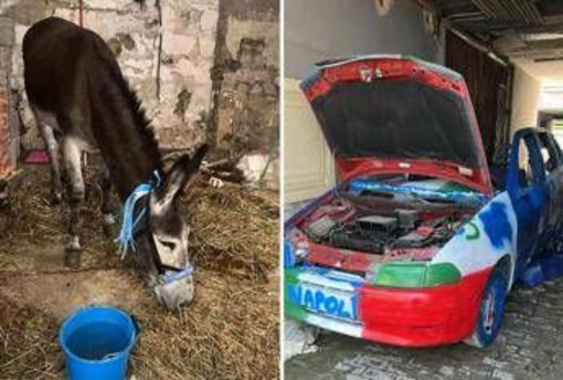 Napoli-Cagliari, l''asino azzurro' e l'auto tricolore: i sequestri verso lo scudetto