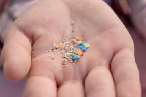 Salute, studio italiano: "Infarti più gravi con microplastiche, fumo e inquinamento" Salute, studio italiano: "Infarti più gravi con microplastiche, fumo e inquinamento"