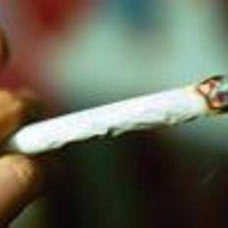 Droga, San Patrignano: "Primo step cannabis e binge drinking, poi si passa a quelle sintetiche" Droga, San Patrignano: "Primo step cannabis e binge drinking, poi si passa a quelle sintetiche"