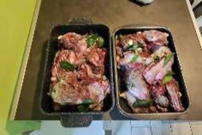 Nutrie arrosto a Pasquetta? Bassetti: "Come mangiare i topi"