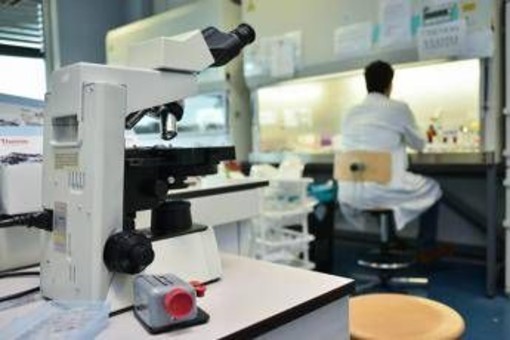 Morbo di Parkinson, 4 segnali prima del tremore: la ricerca