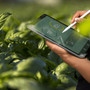 Barilla, 4.000 tonnellate di cibo donate e 2 milioni di euro per cause sociali Barilla, 4.000 tonnellate di cibo donate e 2 milioni di euro per cause sociali