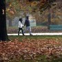 Sole e caldo anomalo fino a 20°C, poi cambia tutto: quando arriva il freddo Sole e caldo anomalo fino a 20°C, poi cambia tutto: quando arriva il freddo