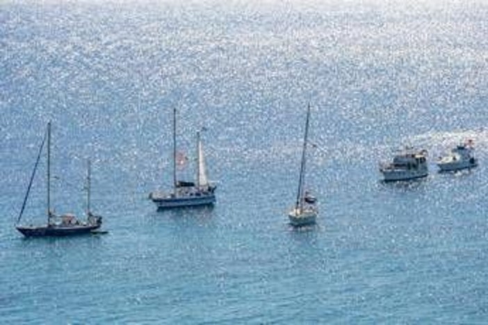 Tajani: &quot;Ventisei italiani nella Flotilla per Gaza stanno per lasciare Israele&quot;