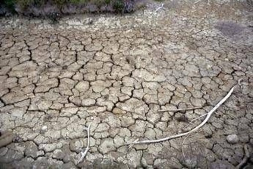 Clima, allarme Onu: "Terra in zona pericolo. El Niño sta assumendo proporzioni enormi"