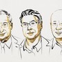 Premio Nobel per l'Economia a Mokyr, Aghion e Howitt