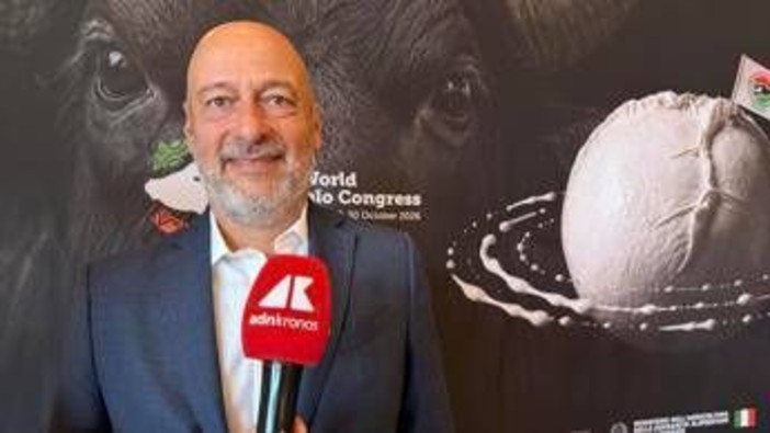 Saccani (Consorzio Mozzarella Bufala Campana Dop): "Per esportare di più serve innovazione" Saccani (Consorzio Mozzarella Bufala Campana Dop): "Per esportare di più serve innovazione"