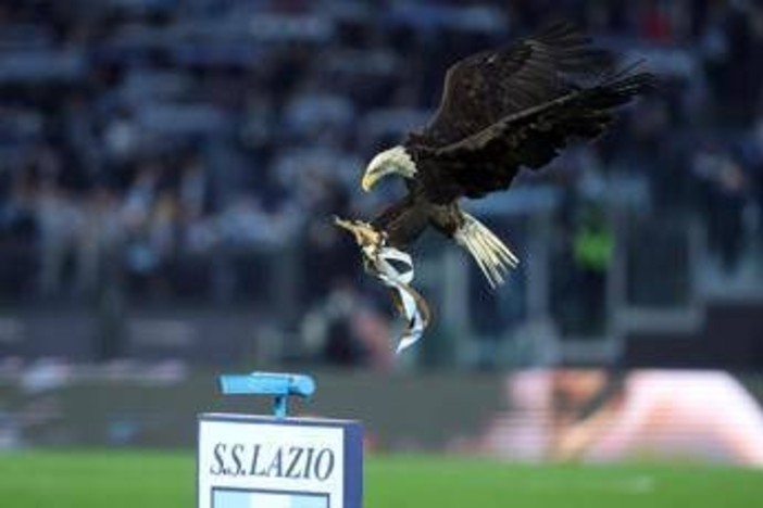 Lazio, debutta all'Olimpico la nuova aquila: primo volo per Flaminia