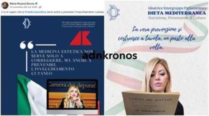 Maria Rosaria Boccia ci ricasca: usa il logo della Camera per promuovere diete e ritocchini Maria Rosaria Boccia ci ricasca: usa il logo della Camera per promuovere diete e ritocchini