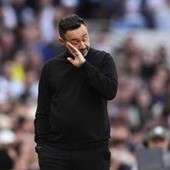 Tottenham, De Zerbi per la salvezza cerca uno psicologo... su LinkedIn