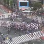 Mondiali, il Giappone pareggia con l'Olanda e a Tokyo si fa festa... al semaforo Mondiali, il Giappone pareggia con l'Olanda e a Tokyo si fa festa... al semaforo