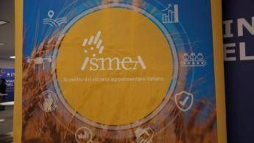 Vinitaly, vino italiano leader: focus su mercati esteri e nuovo bando OCM Promozione