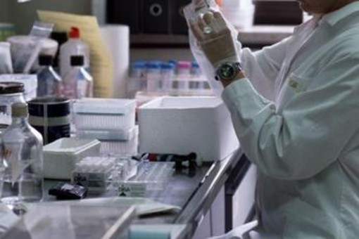 Cancro pancreas, dispositivo medico indossabile di Novocure ottiene marchio Ce Cancro pancreas, dispositivo medico indossabile di Novocure ottiene marchio Ce