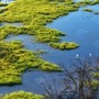 Cina, in vigore il Codice ambientale per una “modernizzazione sostenibile” Cina, in vigore il Codice ambientale per una “modernizzazione sostenibile”