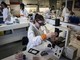 Tumori della testa e collo, studio 'con pembrolizumab -27% rischio recidiva o morte'