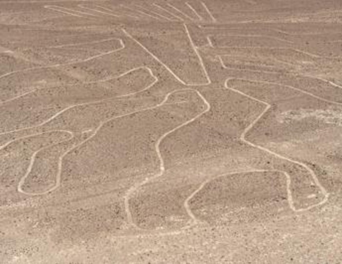 Perù, aereo con italiani a bordo sorvolava Linee di Nazca: cosa sono Perù, aereo con italiani a bordo sorvolava Linee di Nazca: cosa sono