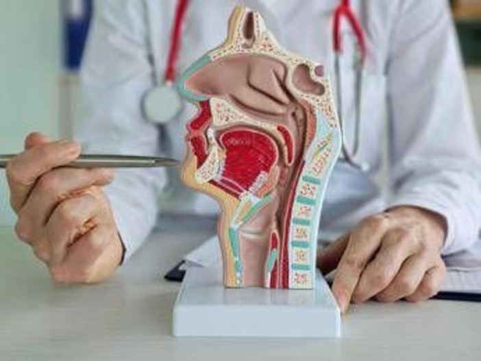 Tumore corde vocali, trovata la 'scintilla' che lo rende aggressivo e invasivo