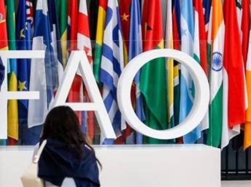 Fao, Tajani: "Italia candida Maurizio Martina alla guida" Fao, Tajani: "Italia candida Maurizio Martina alla guida"