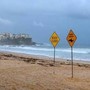 Australia, uomo muore dopo attacco di squalo al largo di Perth
