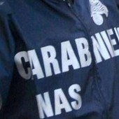 Controlli Nas nelle mense ospedaliere, irregolarità nel 42,7% dei casi