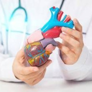 Insufficienza cardiaca, studio Anmco ha valutato risposta pazienti a 4 pilastri terapeutici