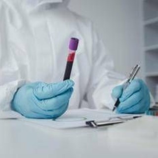 In Francia primo caso umano di virus Shamonda, il paziente è morto: alert Ecdc In Francia primo caso umano di virus Shamonda, il paziente è morto: alert Ecdc