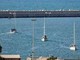 Flotilla, 46 italiani fermati da Israele. Dal carcere all'espulsione, cosa succede