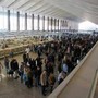 Sciopero nazionale treni, a Roma Termini cancellazioni e ritardi fino a 90 minuti