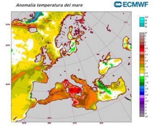 Mare rovente, il Mediterraneo si scalda per la 'Marine Heatwave': cos'è il fenomeno