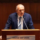 Orlandi (Aigrim-Fipe): "40% forza lavoro è under 30, il problema è trattenerli" Orlandi (Aigrim-Fipe): "40% forza lavoro è under 30, il problema è trattenerli"