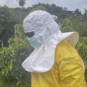 Ebola, il report e l'allarme: "I casi reali potrebbero essere il doppio"