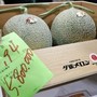 Due meloni venduti a 31mila euro, l'asta choc in Giappone per i frutti 'd'oro' Due meloni venduti a 31mila euro, l'asta choc in Giappone per i frutti 'd'oro'